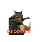 マーガレット その2.1（個別スタンプ：13）