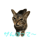 マーガレット その2.1（個別スタンプ：18）