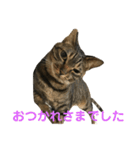 マーガレット その2.1（個別スタンプ：20）