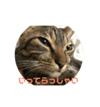 マーガレット その2.1（個別スタンプ：21）
