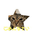 マーガレット その2.1（個別スタンプ：23）