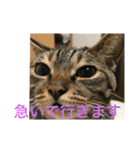 マーガレット その2.1（個別スタンプ：27）