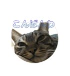 マーガレット その2.1（個別スタンプ：29）