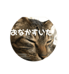 マーガレット その2.1（個別スタンプ：32）