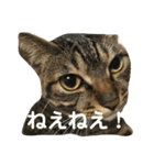 マーガレット その2.1（個別スタンプ：34）
