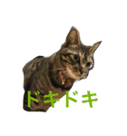 マーガレット その2.1（個別スタンプ：38）