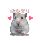 ハムスターのめい（個別スタンプ：8）
