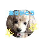 ミルクプリン（個別スタンプ：7）