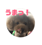 ミルクプリン（個別スタンプ：8）