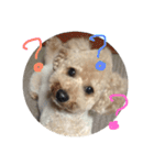 ミルクプリン（個別スタンプ：9）