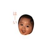 ハムさんのスタンプ（個別スタンプ：7）
