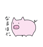 毎日ぶぅさん（個別スタンプ：10）