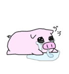 毎日ぶぅさん（個別スタンプ：16）