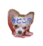 ミュウピノ（個別スタンプ：2）