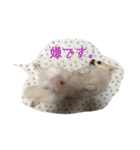 ミュウピノ（個別スタンプ：12）
