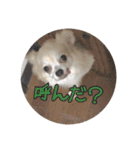 ミュウピノ（個別スタンプ：15）