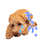 コールのスタンプ（個別スタンプ：2）