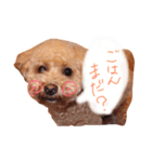 コールのスタンプ（個別スタンプ：6）