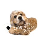 にんどりスタンプ（個別スタンプ：4）