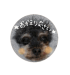 にんどりスタンプ（個別スタンプ：11）