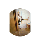 雑種のはる（個別スタンプ：4）