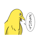 ヒヨコ日常スタンプ（個別スタンプ：13）