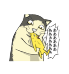 ヒヨコ日常スタンプ（個別スタンプ：15）