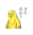 ヒヨコ日常スタンプ（個別スタンプ：20）