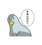 ヒヨコ日常スタンプ（個別スタンプ：22）