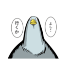 ヒヨコ日常スタンプ（個別スタンプ：23）