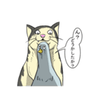 ヒヨコ日常スタンプ（個別スタンプ：27）