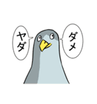 ヒヨコ日常スタンプ（個別スタンプ：29）