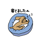 ミキ＆マル 毎日使える基本セット（個別スタンプ：38）