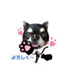 ロビン.2（個別スタンプ：1）