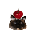 ラグドーラーズ ビビ（個別スタンプ：5）