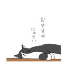 素朴な日本のネコたち（個別スタンプ：2）