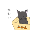 素朴な日本のネコたち（個別スタンプ：13）