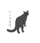 素朴な日本のネコたち（個別スタンプ：18）
