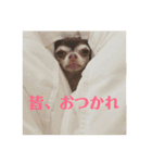 なずな822（個別スタンプ：8）