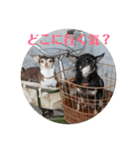 なずな822（個別スタンプ：9）