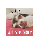 なずな822（個別スタンプ：12）