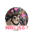 なずな822（個別スタンプ：20）