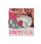 なずな822（個別スタンプ：23）