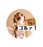 なずな822（個別スタンプ：24）