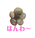 和み石 2 非鉱石(磨いた丸石と仲間たち)（個別スタンプ：19）