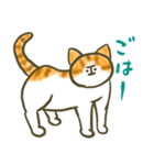 ねこ大好き、おともにゃち！！（個別スタンプ：3）