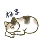 ねこ大好き、おともにゃち！！（個別スタンプ：11）