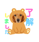 可愛い！はなちゃんのわんちゃんスタンプ！（個別スタンプ：8）
