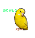 ほだか の（個別スタンプ：3）