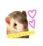 すぇれっとすたんぷ（個別スタンプ：3）